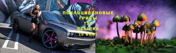 стафф Беломорск