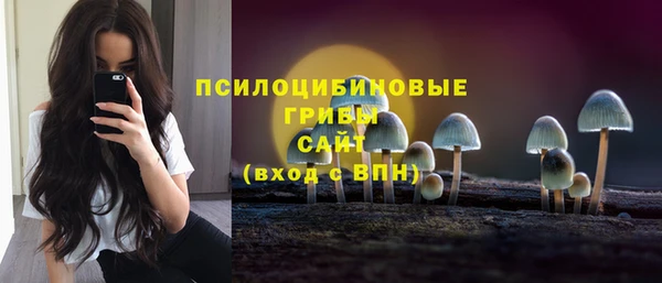 spice Белокуриха